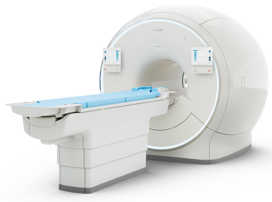 magnetic resonance Body Map